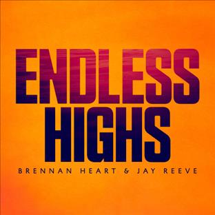 Brennan Heart - Endless Highs